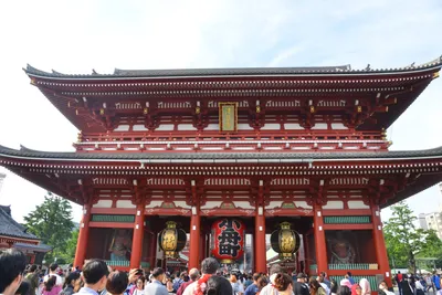 DSC_3464 (Large).JPG